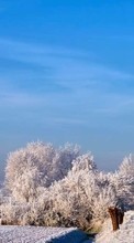 New mobile wallpapers - free download. Trees,Roads,Landscape,Winter picture and image for mobile phones.