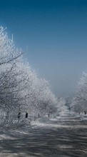 Trees,Roads,Landscape,Winter for LG G4c H525N