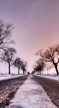 New 320x480 mobile wallpapers Landscape, Winter, Trees, Roads free download.