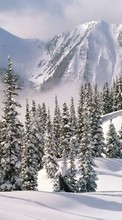 New mobile wallpapers - free download. Landscape, Winter, Trees, Mountains, Fir-trees picture and image for mobile phones.