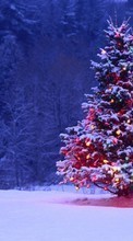 New mobile wallpapers - free download. Trees, Fir-trees, New Year, Nature, Holidays, Christmas, Xmas picture and image for mobile phones.