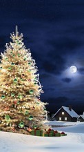 New mobile wallpapers - free download. Trees, Fir-trees, New Year, Landscape, Holidays, Christmas, Xmas, Winter picture and image for mobile phones.