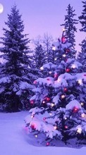 New 1024x768 mobile wallpapers Trees, Fir-trees, New Year, Holidays, Christmas, Xmas, Snow, Winter free download.