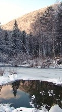 New mobile wallpapers - free download. Landscape, Winter, Trees, Snow, Fir-trees, Lakes picture and image for mobile phones.