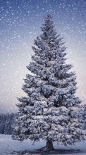 New mobile wallpapers - free download. Trees, Fir-trees, Landscape, Snow, Winter picture and image for mobile phones.