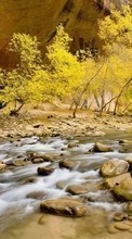 New 240x320 mobile wallpapers Landscape, Rivers, Trees, Stones free download.