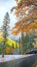 New mobile wallpapers - free download. Trees, Mountains, Autumn, Landscape, Snow picture and image for mobile phones.