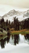 New mobile wallpapers - free download. Trees, Mountains, Lakes, Landscape picture and image for mobile phones.