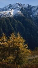 New mobile wallpapers - free download. Trees,Mountains,Landscape picture and image for mobile phones.