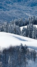 New mobile wallpapers - free download. Trees, Mountains, Landscape, Snow, Winter picture and image for mobile phones.