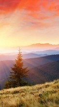 New mobile wallpapers - free download. Trees, Mountains, Landscape, Sun picture and image for mobile phones.