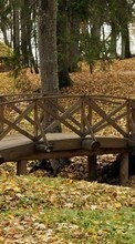 Trees, Leaves, Bridges, Autumn, Landscape for Samsung Star 3 Duos S5222