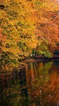 New mobile wallpapers - free download. Trees, Boats, Autumn, Landscape, Rivers picture and image for mobile phones.