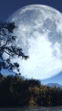 New 360x640 mobile wallpapers Landscape, Trees, Night, Moon free download.