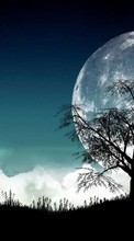New mobile wallpapers - free download. Trees, Moon, Nature picture and image for mobile phones.