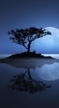 New mobile wallpapers - free download. Trees,Moon,Landscape picture and image for mobile phones.
