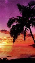 New mobile wallpapers - free download. Landscape, Trees, Sunset, Sky, Sea, Palms picture and image for mobile phones.