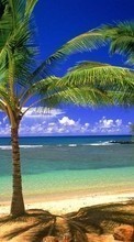 Landscape, Trees, Sea, Beach, Palms for HTC One E8
