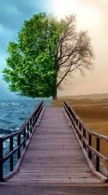 New mobile wallpapers - free download. Trees, Sea, Landscape, Desert picture and image for mobile phones.