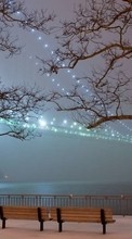 New mobile wallpapers - free download. Trees, Bridges, Night, Landscape, Winter picture and image for mobile phones.