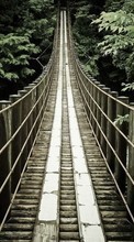 New mobile wallpapers - free download. Trees, Bridges, Landscape picture and image for mobile phones.