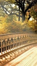 New mobile wallpapers - free download. Landscape, Bridges, Trees picture and image for mobile phones.