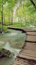 New mobile wallpapers - free download. Landscape, Nature, Rivers, Bridges, Trees picture and image for mobile phones.
