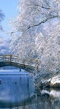 New mobile wallpapers - free download. Trees, Bridges, Landscape, Rivers, Winter picture and image for mobile phones.