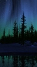 New 240x400 mobile wallpapers Landscape, Trees, Sky, Night free download.