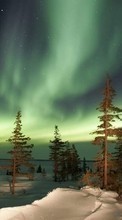 New mobile wallpapers - free download. Trees, Sky, Night, Landscape, Shining, Snow, Stars picture and image for mobile phones.