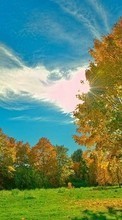New mobile wallpapers - free download. Trees, Sky, Clouds, Autumn, Landscape picture and image for mobile phones.