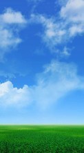 New 720x1280 mobile wallpapers Landscape, Trees, Sky, Clouds free download.
