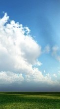New 320x240 mobile wallpapers Landscape, Trees, Sky, Clouds free download.