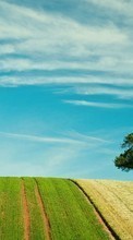New mobile wallpapers - free download. Trees, Sky, Clouds, Landscape, Fields picture and image for mobile phones.