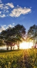 Trees, Sky, Clouds, Landscape, Sun, Grass for Samsung Galaxy S3 mini