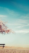 New mobile wallpapers - free download. Trees, Sky, Landscape picture and image for mobile phones.