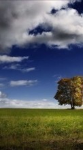 Landscape, Trees, Sky for Motorola Moto One 5G