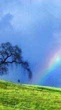 New mobile wallpapers - free download. Landscape, Trees, Grass, Sky, Rainbow picture and image for mobile phones.