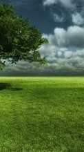 New 1024x768 mobile wallpapers Landscape, Trees, Grass, Sky free download.