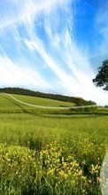 New mobile wallpapers - free download. Landscape, Trees, Grass, Sky picture and image for mobile phones.
