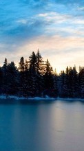New 800x480 mobile wallpapers Landscape, Winter, Water, Trees, Sky free download.