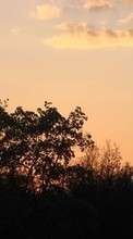 Landscape, Trees, Sunset, Sky for LG Optimus Sol E730