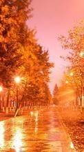 New mobile wallpapers - free download. Trees, Night, Autumn, Landscape, Streets picture and image for mobile phones.