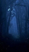 New mobile wallpapers - free download. Trees, Night, Landscape picture and image for mobile phones.