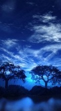 New mobile wallpapers - free download. Landscape, Trees, Night picture and image for mobile phones.