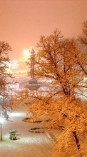 New mobile wallpapers - free download. Trees, Night, Landscape, Snow, Winter picture and image for mobile phones.