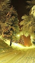 New mobile wallpapers - free download. Trees, Night, Landscape, Snow, Winter picture and image for mobile phones.