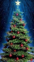 New mobile wallpapers - free download. Trees,Objects,Holidays,Plants picture and image for mobile phones.