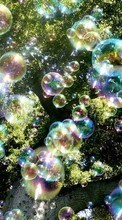 New mobile wallpapers - free download. Trees, Objects, Bubbles, Plants picture and image for mobile phones.