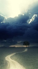 New mobile wallpapers - free download. Trees,Clouds,Landscape,Fields picture and image for mobile phones.